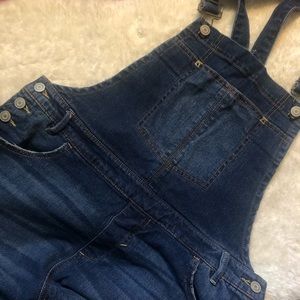 Loralette Size 14 Denim Overalls
